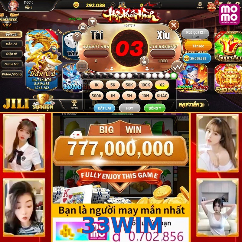 33WIM